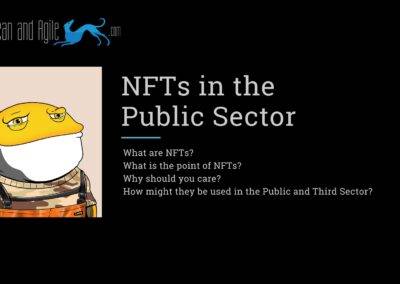 NFTs in the Public Sector